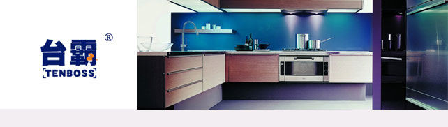 台霸-TENBOSS